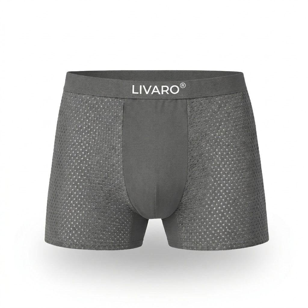 LIVARO® Essentials Boxer Trunks Grey