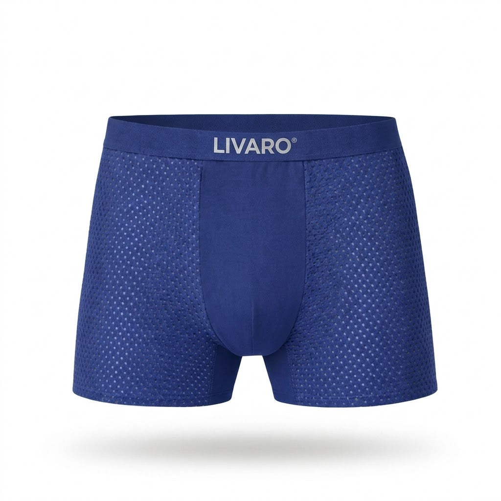 LIVARO® Essentials Boxer Trunks Blue