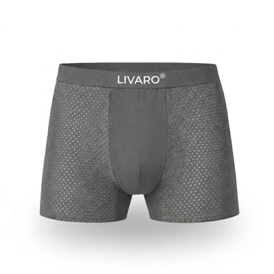 LIVARO® Essentials Boxer Trunks Grey